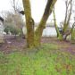 687 Vine St, Willamina, OR 97396 ID:6279176