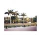 7900 CAMINO CR # 205, Miami, FL 33143 ID:6137526