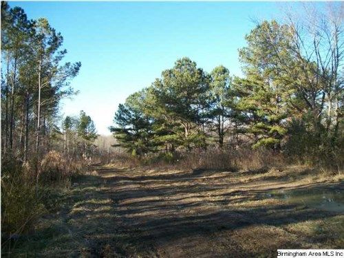 5255 KELLY CREEK RD 37.5 AC, Odenville, AL 35120