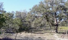 111 ACRES Wishing Star Ln Seguin, TX 78155