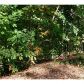 389 Crooked O Trail, Gainesville, GA 30506 ID:3136705