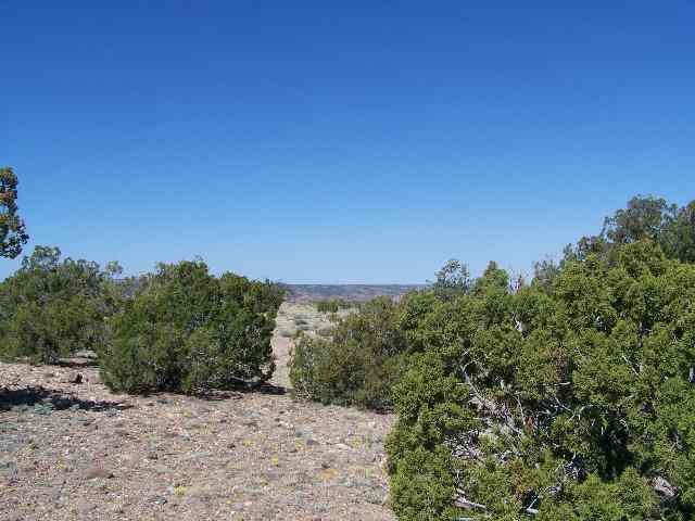 Lot 36 Indian Drive, Concho, AZ 85924