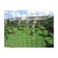 851 14TH AV # 414, Hallandale, FL 33009 ID:979729