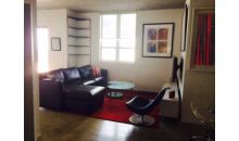 234 NE 3 ST # 1704 Miami, FL 33132