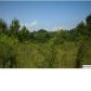 12493 STEMLEY RD 30 AC, Lincoln, AL 35096 ID:6443946