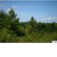 12493 STEMLEY RD 30 AC, Lincoln, AL 35096 ID:6443948