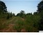 12493 STEMLEY RD 30 AC, Lincoln, AL 35096 ID:6443950