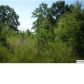 12493 STEMLEY RD 30 AC, Lincoln, AL 35096 ID:6443951