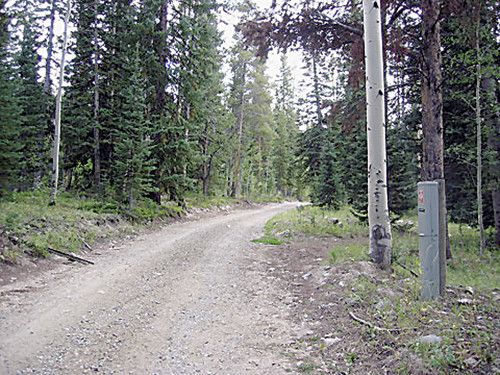 (tbd) USFS Road #490, Clark, CO 80428