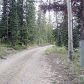 (tbd) USFS Road #490, Clark, CO 80428 ID:6412320