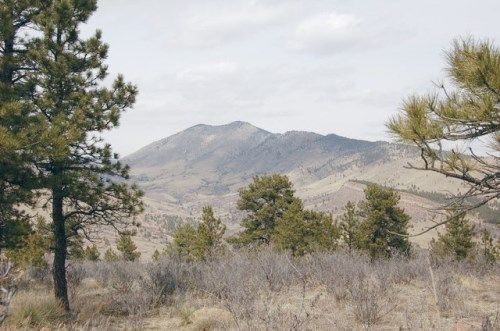 TBD Front Range Buffalo (Tract 7), Lyons, CO 80540