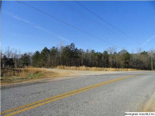 RUSHING SPRINGS RD 0, Lincoln, AL 35096