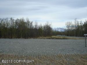 L11 B3 N Upstream Place, Palmer, AK 99645