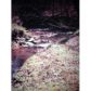 28 Henderson Mountain Road, Jasper, GA 30143 ID:5705187