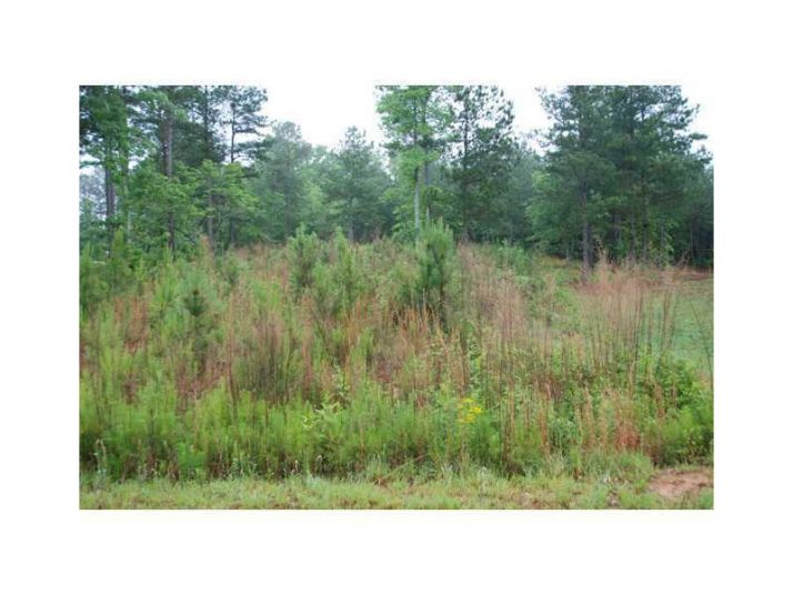 2 Heritage Creek Trail, Ball Ground, GA 30107