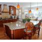 205 Arbor Green Run, Alpharetta, GA 30004 ID:6136360