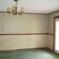 186 Burbank Rd, Roan Mountain, TN 37687 ID:569996