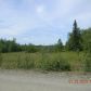 42106 Sterling Highway, Soldotna, AK 99669 ID:1080841