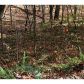 308 Buckskull Hollow Lane N, Jasper, GA 30143 ID:3364964