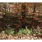 308 Buckskull Hollow Lane N, Jasper, GA 30143 ID:3364965