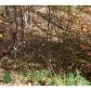 308 Buckskull Hollow Lane N, Jasper, GA 30143 ID:3364966