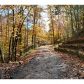 308 Buckskull Hollow Lane N, Jasper, GA 30143 ID:3364967