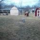 3310 Carlton Dr, Dayton, OH 45404 ID:6644779