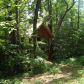 725 Clay Creek Falls Road, Dahlonega, GA 30533 ID:1460608