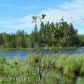 146 W Sunflower Drive, Wasilla, AK 99654 ID:3956804