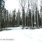 146 W Sunflower Drive, Wasilla, AK 99654 ID:3956810