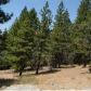 2721 FOREST KNOLL LANE, Quincy, CA 95971 ID:1838066