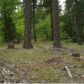 884 Bucks Lake Road, Quincy, CA 95971 ID:1837954