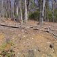 4 Sharp Top Mountain Trail, Jasper, GA 30143 ID:3364646