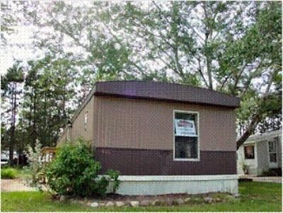 4101 Hoover Avenue South, Plover, WI 54467