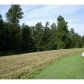 0 Pleasant Hill Road, Jasper, GA 30143 ID:3018136