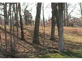 LOT #15 SOUTH PARK SUBDIVISION, Eddyville, KY 42038