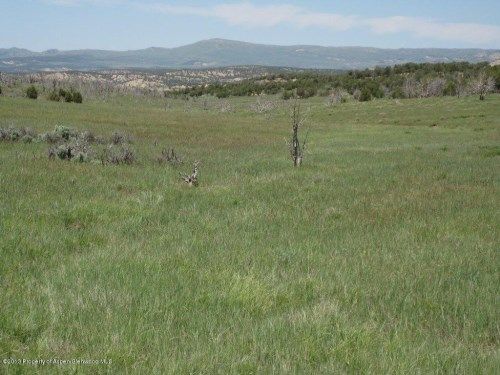 Lot 2 Rbcr 71, Meeker, CO 81641