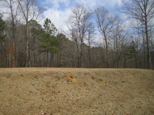 Lot 5 Ryan Creek Road, Cullman, AL 35055