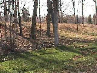 LOT #16 SOUTH PARK SUBDIVISION, Eddyville, KY 42038