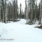 200 W Sunflower Drive, Wasilla, AK 99654 ID:3956803