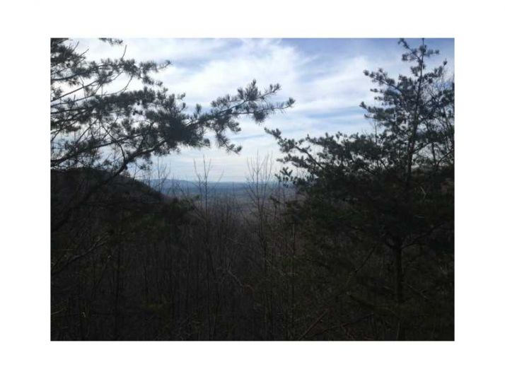 3094 Acres Clearview Drive, Talking Rock, GA 30175