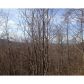 3094 Acres Clearview Drive, Talking Rock, GA 30175 ID:2989231