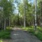 238 W Sunflower Drive, Wasilla, AK 99654 ID:3956780