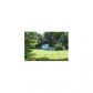 2126 Meadowlawn Dr, Holt, MI 48842 ID:701516