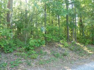 Lot 8 Thompson Ridge Road, Alexander City, AL 35010