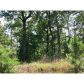 233 Old Post Trail, Talking Rock, GA 30175 ID:3134062