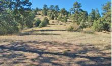 3 Pine Valley Road Pine, CO 80470