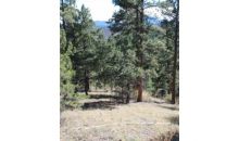 7 Pine Valley Road Pine, CO 80470