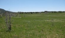 Lot 3 Rbcr 71 Meeker, CO 81641