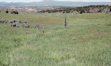 Lot 4 Rbcr 71 Meeker, CO 81641